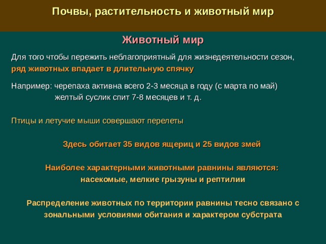  Почвы, растительность и животный мир  Животный мир Для того чтобы пережить неблагоприятный для жизнедеятельности сезон,  ряд животных впадает в длительную спячку  Например: черепаха активна всего 2-3 месяца в году (с марта по май)  желтый суслик спит 7-8 месяцев и т. д. Птицы и летучие мыши совершают перелеты Здесь обитает 35 видов ящериц и 25 видов змей  Наиболее характерными животными равнины являются: насекомые, мелкие грызуны и рептилии  Распределение животных по территории равнины тесно связано с зональными условиями обитания и характером субстрата 