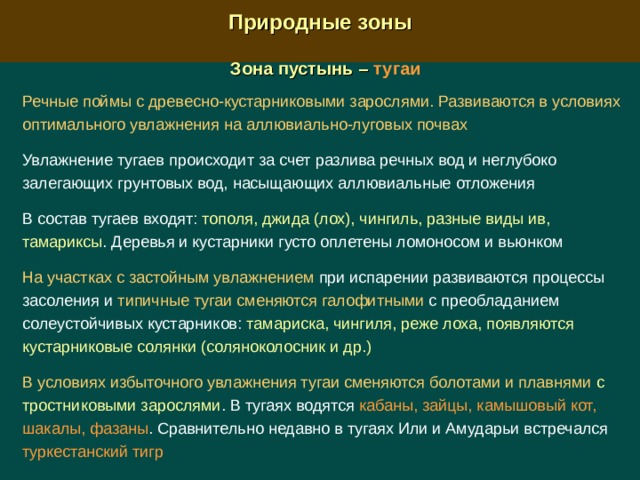  Природные зоны  Зона пустынь – тугаи  Речные поймы с древесно-кустарниковыми зарослями. Развиваются в условиях оптимального увлажнения на аллювиально-луговых почвах Увлажнение тугаев происходит за счет разлива речных вод и неглубоко залегающих грунтовых вод, насыщающих аллювиальные отложения В состав тугаев входят: тополя, джида (лох), чингиль, разные виды ив, тамариксы . Деревья и кустарники густо оплетены ломоносом и вьюнком На участках с застойным увлажнением при испарении развиваются процессы засоления и типичные тугаи сменяются галофитными с преобладанием солеустойчивых кустарников: тамариска, чингиля, реже лоха, появляются кустарниковые солянки (соляноколосник и др.) В условиях избыточного увлажнения тугаи сменяются болотами и плавнями  с тростниковыми зарослями . В тугаях водятся кабаны, зайцы, камышовый кот, шакалы, фазаны . Сравнительно недавно в тугаях Или и Амударьи встречался туркестанский тигр 