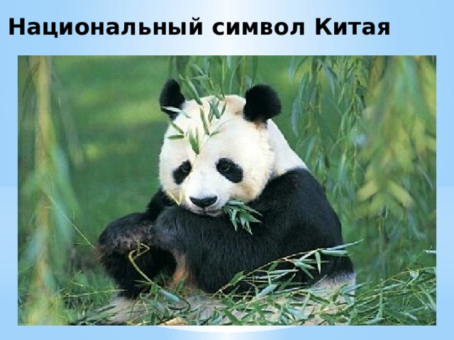 Национальный символ Китая 