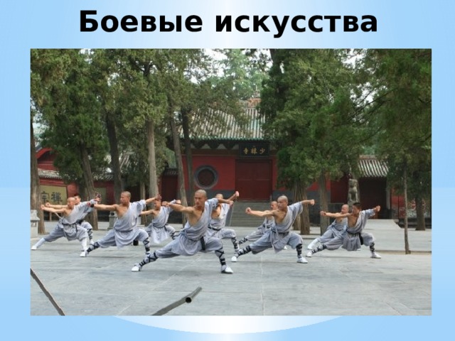 Боевые искусства  