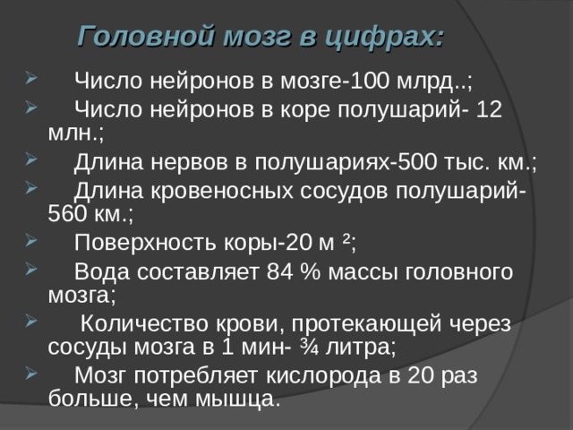 Головной мозг в цифрах:  Число нейронов в мозге-100 млрд..;  Число нейронов в коре полушарий- 12 млн.;  Длина нервов в полушариях-500 тыс. км.;  Длина кровеносных сосудов полушарий-560 км.;  Поверхность коры-20 м ² ;  Вода составляет 84 % массы головного мозга;  Количество крови, протекающей через сосуды мозга в 1 мин- ¾ литра;  Мозг потребляет кислорода в 20 раз больше, чем мышца.   