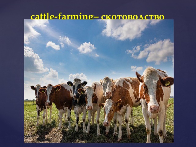 cattle-farming– скотоводство