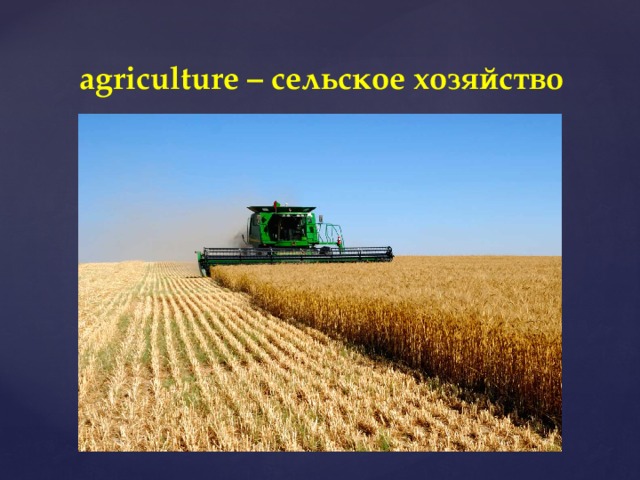 agriculture – сельское хозяйство