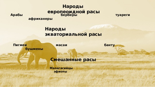 Народы европеоидной расы Арабы берберы туареги африканеры Народы экваториальной расы Пигмеи масаи банту бушмены Смешанные расы Малагасийцы эфиопы  