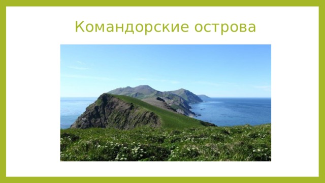 Командорские острова Командорские острова Заповедник основан в 1993 году. Занимает примерно 3,5 миллиона гектаров. Состоит из 4 больших и порядка 60 мелких островов. Флора представлена 400 видами растений. Фауна: 25 видов – млекопитающие, 170 – птицы, 250 – рыбы. Гусь-белошей, калан, кречет и другие занесены в Красную книгу. Историческая достопримечательность – могила мореплавателя Беринга рядом со стоянкой его экспедиции середины XVIII века.  Источник: https://must-see.top/dostoprimechatelnosti-kamchatki/
