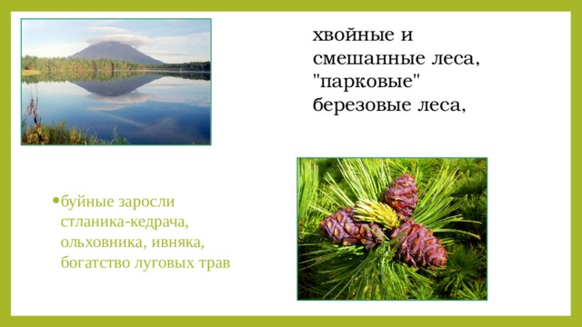 хвойные и смешанные леса, 