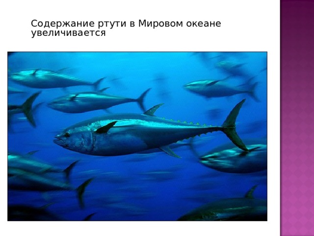 Содержание ртути в Мировом океане увеличивается 