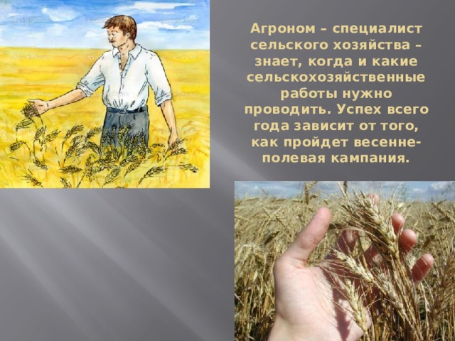 Агроном – специалист сельского хозяйства – знает, когда и какие сельскохозяйственные работы нужно проводить. Успех всего года зависит от того, как пройдет весенне-полевая кампания. 
