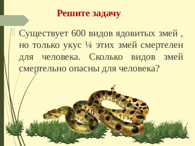 Решите задачу Существует 600 видов ядовитых змей , но только укус ¼ этих змей смертелен для человека. Сколько видов змей смертельно опасны для человека? 