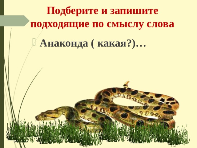 Подберите и запишите подходящие по смыслу слова Анаконда ( какая?)… 
