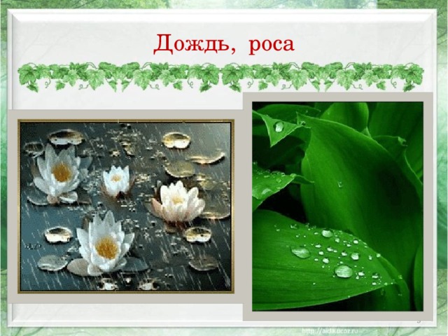 Дождь, роса  