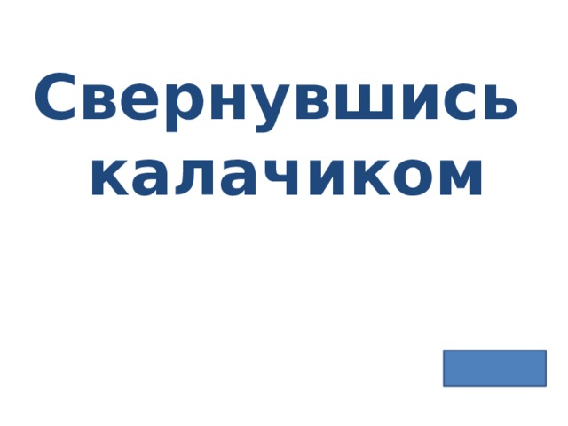 Свернувшись калачиком 