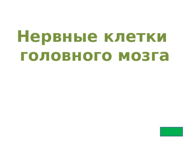 Нервные клетки головного мозга 