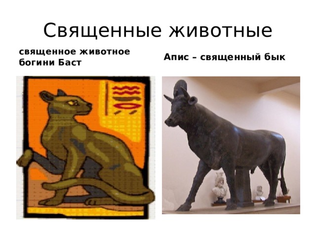 Священные животные Апис – священный бык священное животное богини Баст 