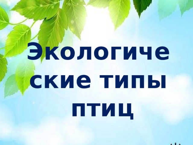 Экологические типы  птиц