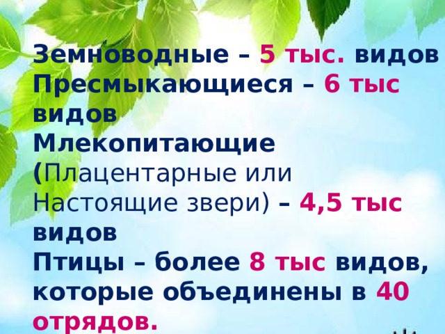 Земноводные – 5 тыс. видов  Пресмыкающиеся – 6 тыс видов  Млекопитающие ( Плацентарные или Настоящие звери) – 4,5 тыс видов  Птицы – более 8 тыс видов, которые объединены в 40 отрядов.