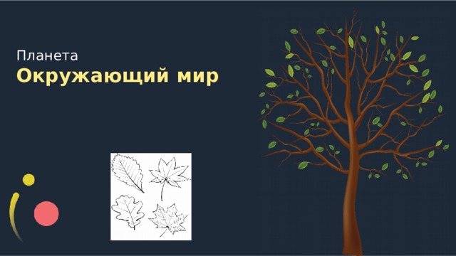 Планета  Окружающий мир 