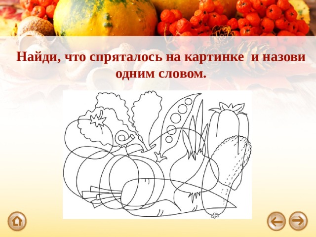 Найди, что спряталось на картинке и назови одним словом. 