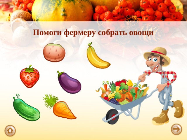 Помоги фермеру собрать овощи 