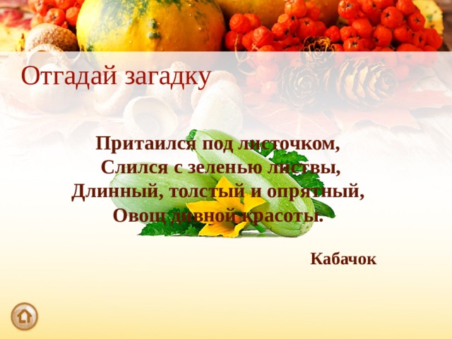 Отгадай загадку Притаился под листочком, Слился с зеленью листвы, Длинный, толстый и опрятный, Овощ дивной красоты. Кабачок 