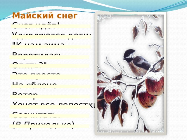 Майский снег Снег идёт!  Удивляются дети:  