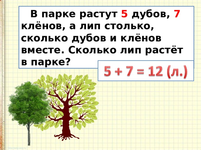   В парке растут 5 дубов, 7 клёнов, а лип столько, сколько дубов и клёнов вместе. Сколько лип растёт в парке? 