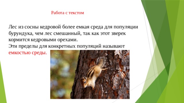 Работа с текстом Лес из сосны кедровой более емкая среда для популяции бурундука, чем лес смешанный, так как этот зверек кормится кедровыми орехами. Эти пределы для конкретных популяций называют емкостью среды. 
