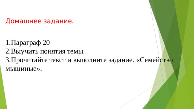 Домашнее задание. 1.Параграф 20 2.Выучить понятия темы. 3.Прочитайте текст и выполните задание. «Семейство мышиные». 