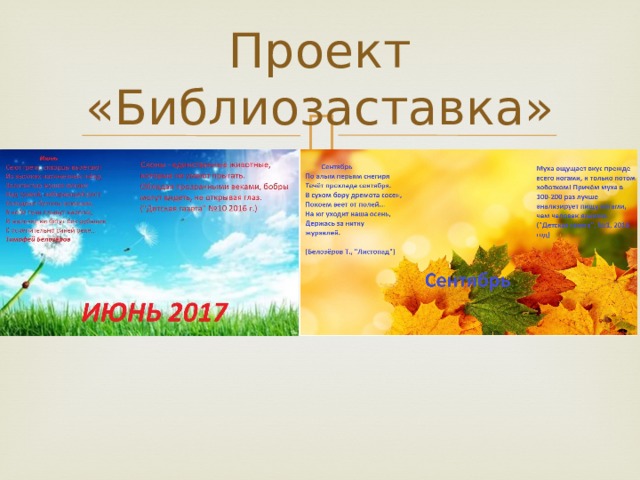 Проект «Библиозаставка» 
