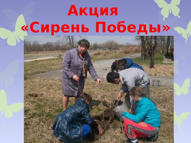 Акция «Сирень Победы» 
