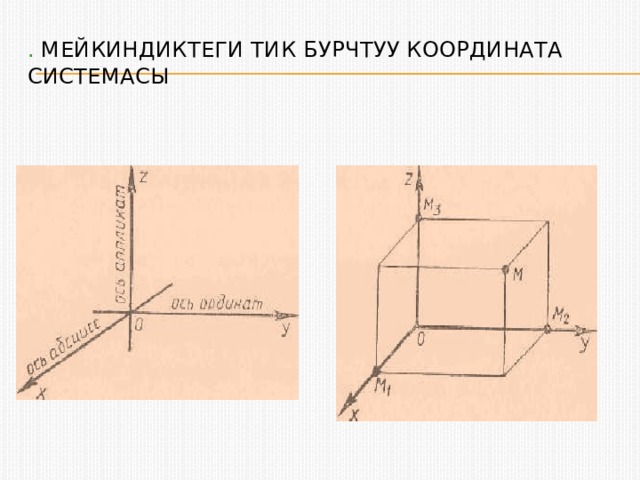 . Мейкиндиктеги тик бурчтуу координата системасы 