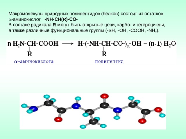 Макромолекулы природных полипептидов (белков) состоят из остатков  -аминокислот - NH - C Н( R )-С O -  В составе радикала R  могут быть открытые цепи, карбо- и гетероциклы, а также различные функциональные группы (- SH , - OH , - COOH , - NH 2 ). 