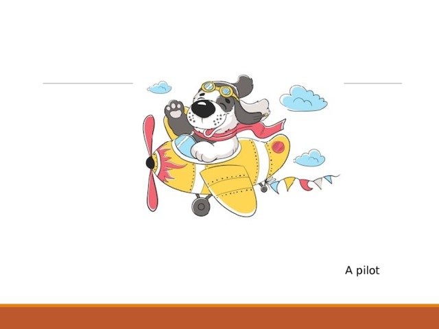 A pilot 