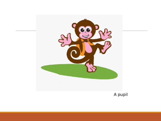 A pupil 