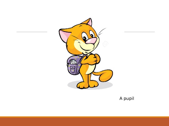 A pupil 