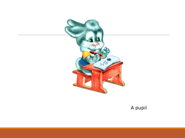 A pupil 