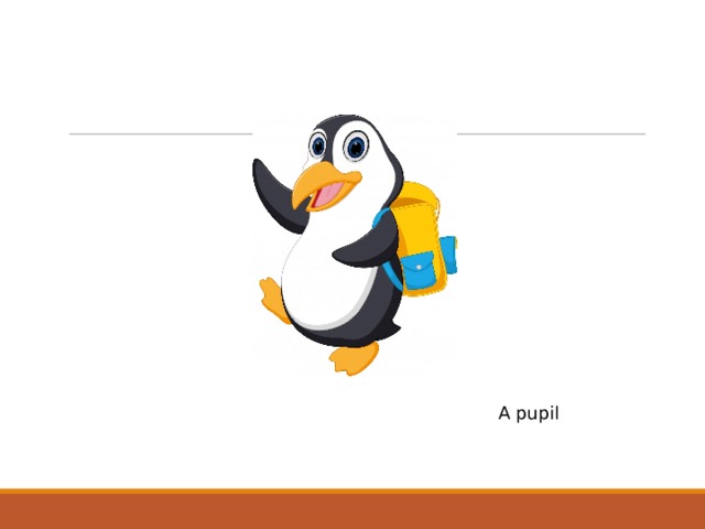 A pupil 