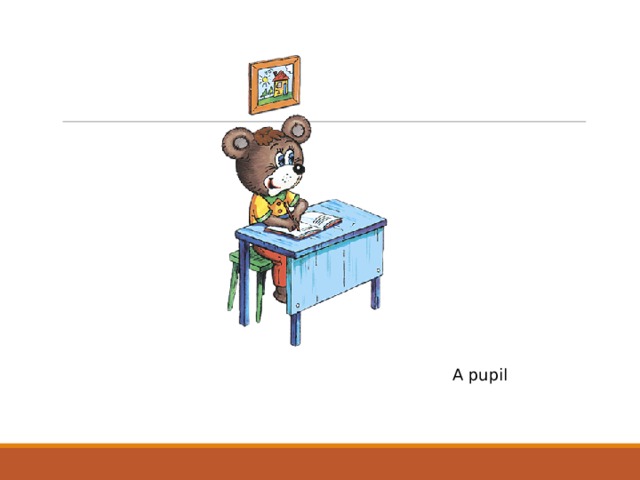 A pupil 