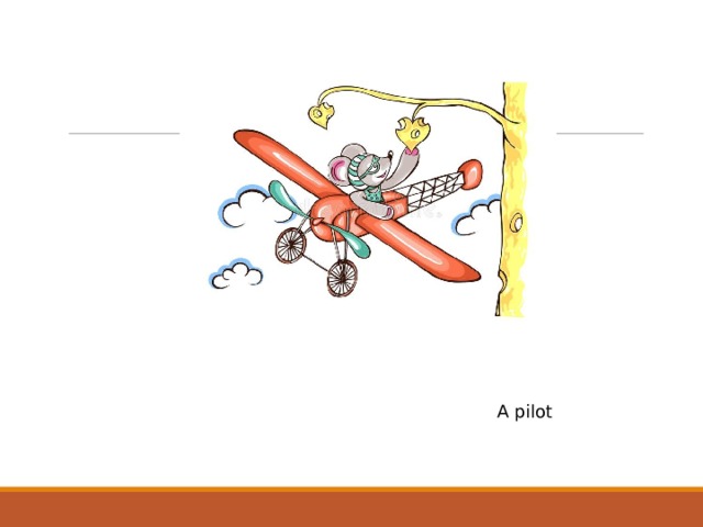 A pilot 