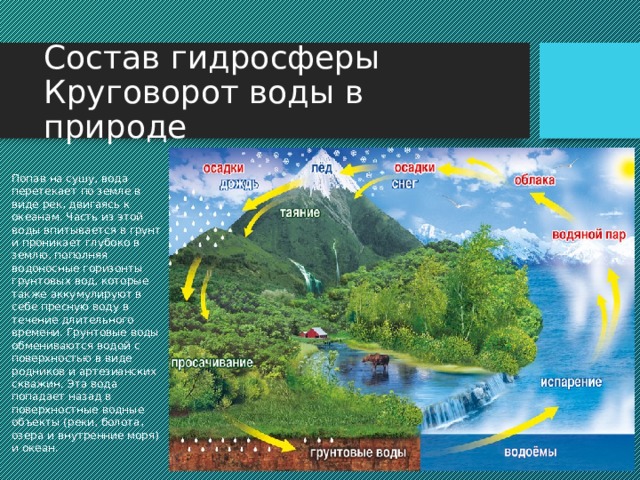 Состав гидросферы Круговорот воды в природе Попав на сушу, вода перетекает по земле в виде рек, двигаясь к океанам. Часть из этой воды впитывается в грунт и проникает глубоко в землю, пополняя водоносные горизонты грунтовых вод, которые также аккумулируют в себе пресную воду в течение длительного времени. Грунтовые воды обмениваются водой с поверхностью в виде родников и артезианских скважин. Эта вода попадает назад в поверхностные водные объекты (реки, болота, озера и внутренние моря) и океан. Попав на сушу, вода перетекает по земле в виде рек, двигаясь к океанам. Часть из этой воды впитывается в грунт и проникает глубоко в землю, пополняя водоносные горизонты грунтовых вод, которые также аккумулируют в себе пресную воду в течение длительного времени. Грунтовые воды обмениваются водой с поверхностью в виде родников и артезианских скважин. Эта вода попадает назад в поверхностные водные объекты (реки, болота, озера и внутренние моря) и океан.  