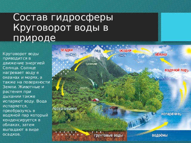 Состав гидросферы Круговорот воды в природе Круговорот воды приводится в движение энергией Солнца. Солнце нагревает воду в океанах и морях, а также на поверхности Земли. Животные и растения при дыхании также испаряют воду. Вода испаряется, преобразуясь в водяной пар который конденсируется в облаках, затем выпадают в виде осадков. Круговорот воды приводится в движение энергией Солнца. Солнце нагревает воду в океанах и морях, а также на поверхности Земли. Животные и растения при дыхании также испаряют воду. Вода испаряется, преобразуясь в водяной пар который конденсируется в облаках, затем выпадают в виде осадков – дождя и снега.  