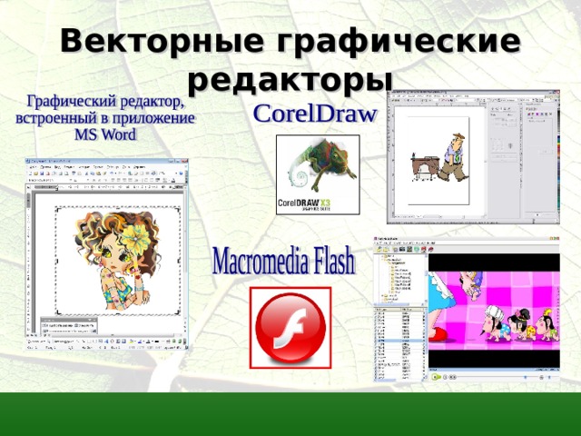 Векторные графические редакторы  