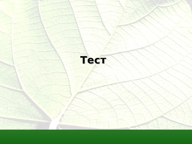 Тест 