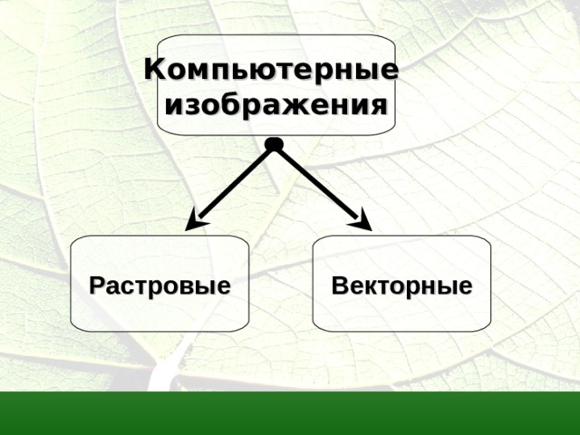 Компьютерные изображения Растровые Векторные  