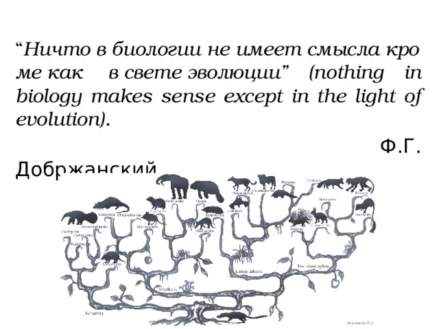 “ Ничто в биологии не имеет смысла кроме как  в свете эволюции” (nothing in biology makes sense except in the light of evolution).  Ф.Г. Добржанский 