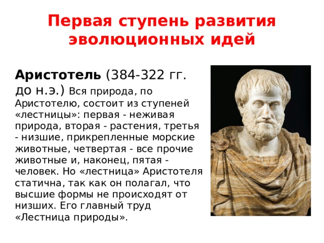 Первая ступень развития эволюционных идей Аристотель  (384-322 гг. до н.э.) Вся природа, по Аристотелю, состоит из ступеней «лестницы»: первая - неживая природа, вторая - растения, третья - низшие, прикрепленные морские животные, четвертая - все прочие животные и, наконец, пятая - человек. Но «лестница» Аристотеля статична, так как он полагал, что высшие формы не происходят от низших. Его главный труд «Лестница природы». 