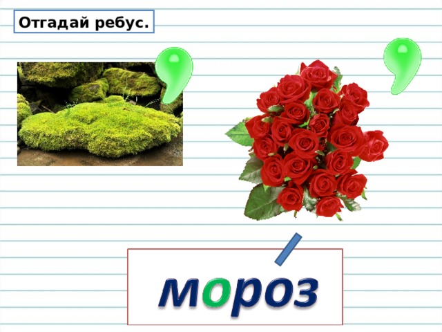 Отгадай ребус. 