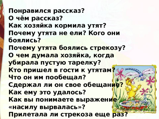 Понравился рассказ?  О чём рассказ?  Как хозяйка кормила утят?  Почему утята не ели? Кого они боялись?  Почему утята боялись стрекозу?  О чем думала хозяйка, когда убирала пустую тарелку?  Кто пришел в гости к утятам?  Что он им пообещал? Сдержал ли он свое обещание?  Как ему это удалось?  Как вы понимаете выражение «насилу вырвалась»?  Прилетала ли стрекоза еще раз? 