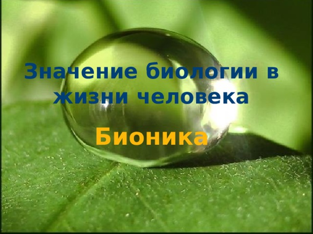 Значение биологии в жизни человека Бионика 