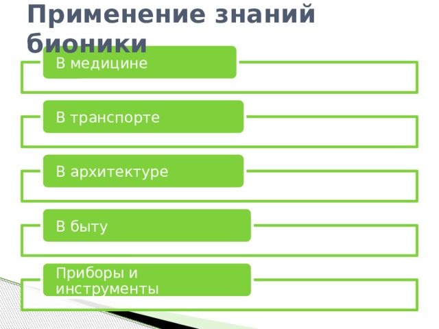 Применение знаний бионики В медицине В транспорте В архитектуре В быту Приборы и инструменты 